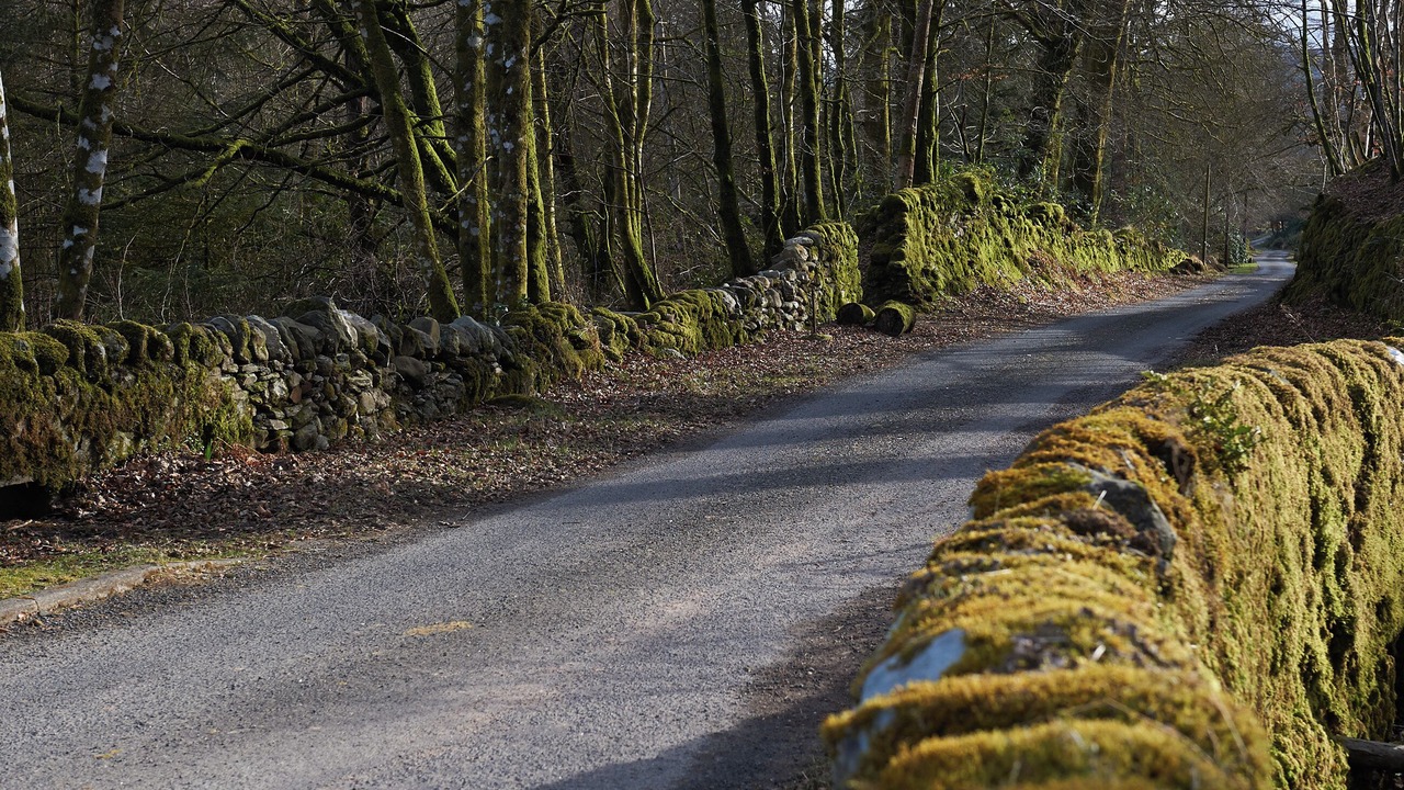 Photo of Others in Clachan of Glendaruel