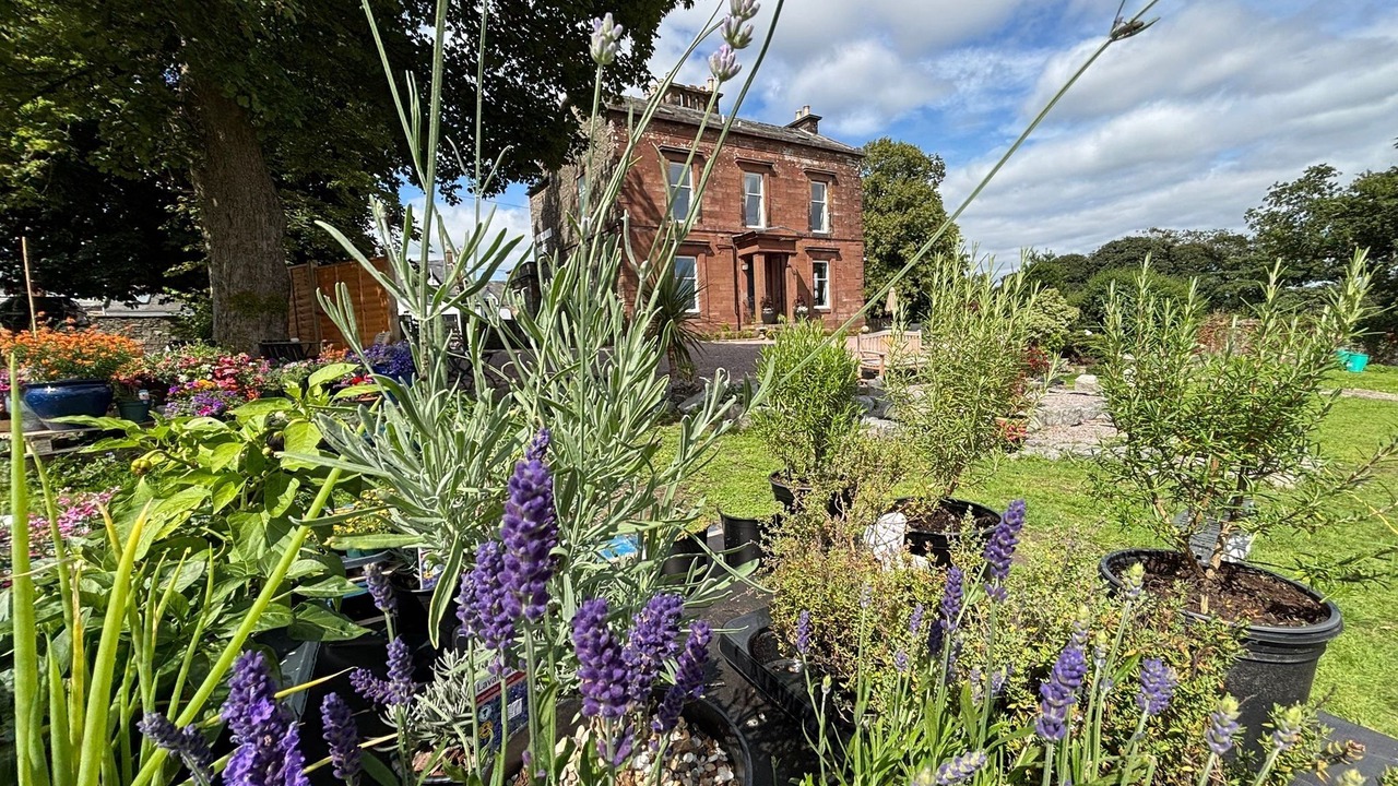 Photo of Outdoor in Wigtown