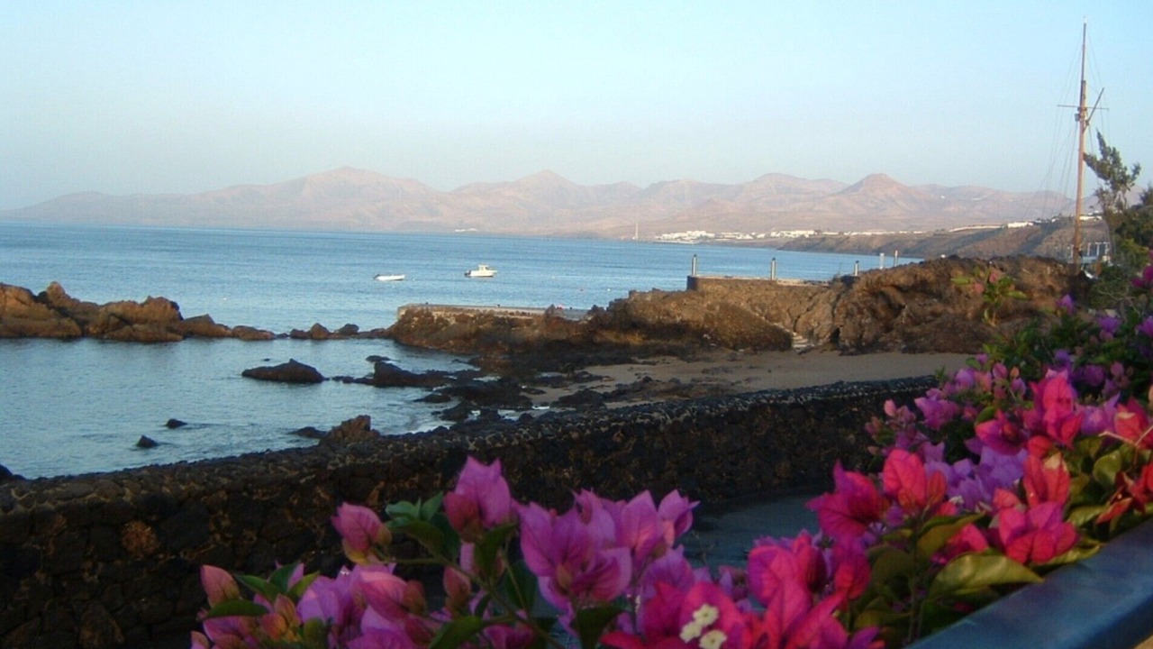 Photo of Others in Puerto del Carmen