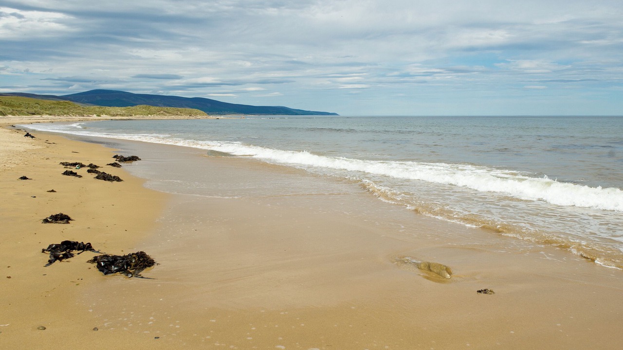 Photo of Others in Brora