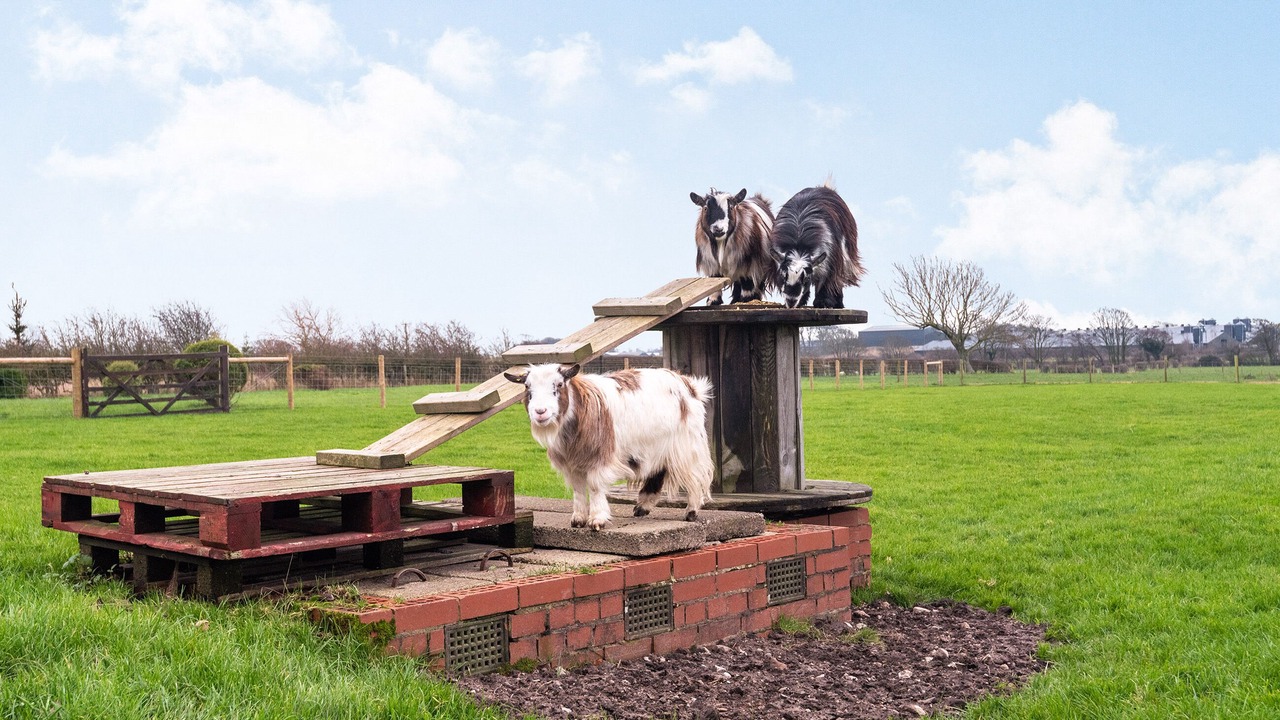 Photo of Outdoor in Wesham