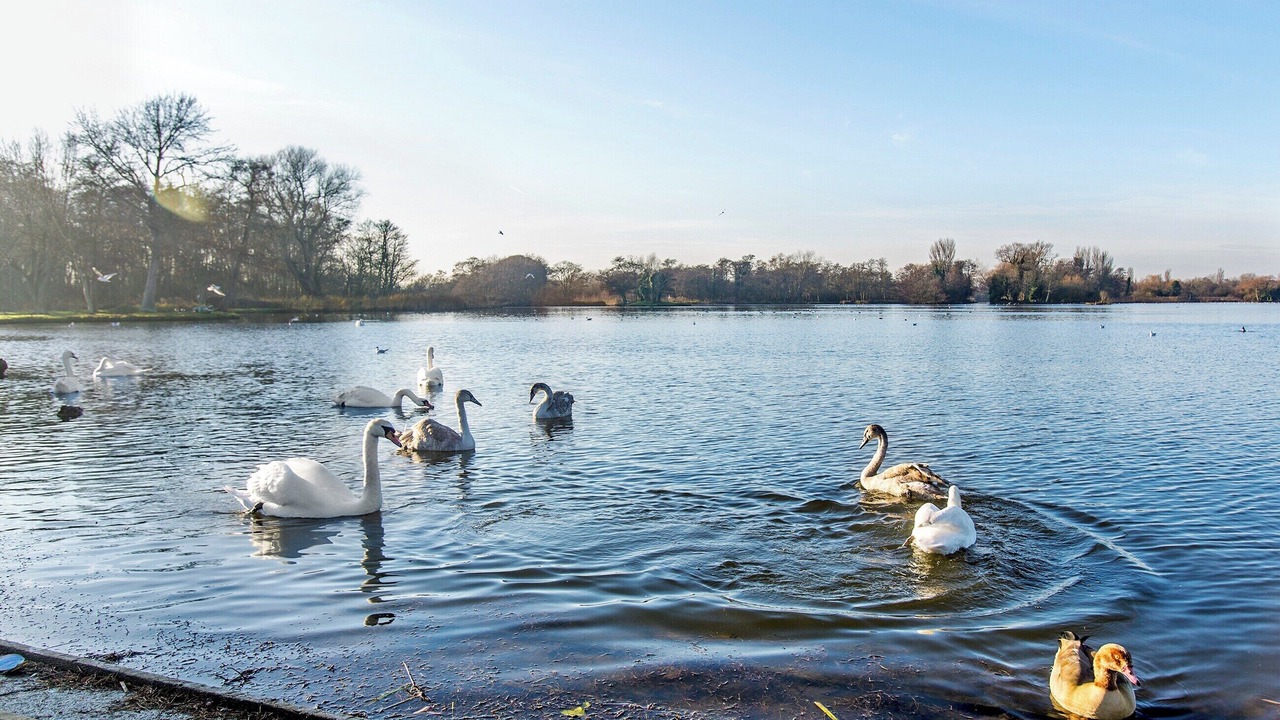 Photo of Outdoor in Thorpeness