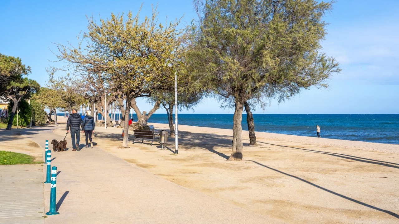 Photo of Others in Calella
