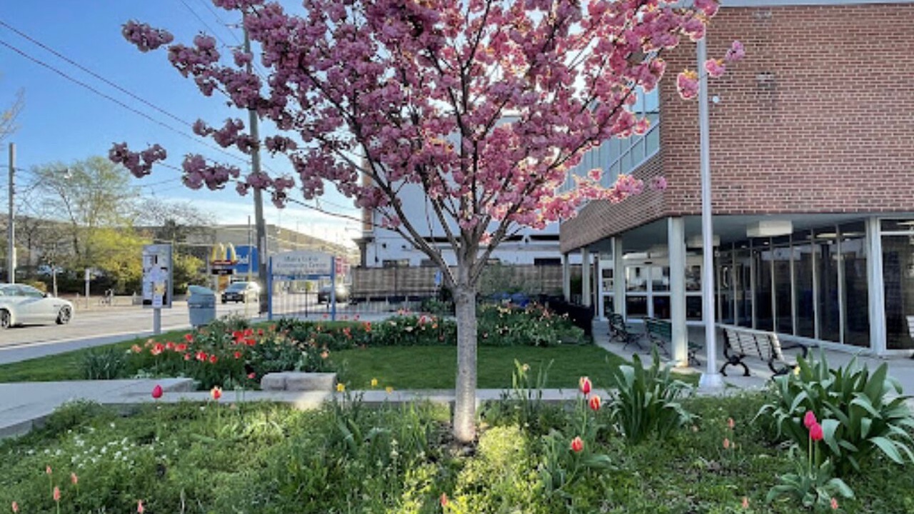 Photo of Outdoor in Leslieville