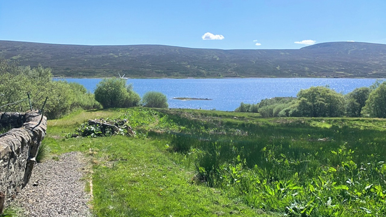 Photo of Others in Lairg