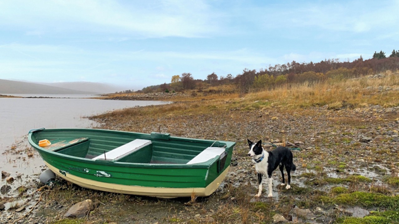 Photo of Others in Lairg
