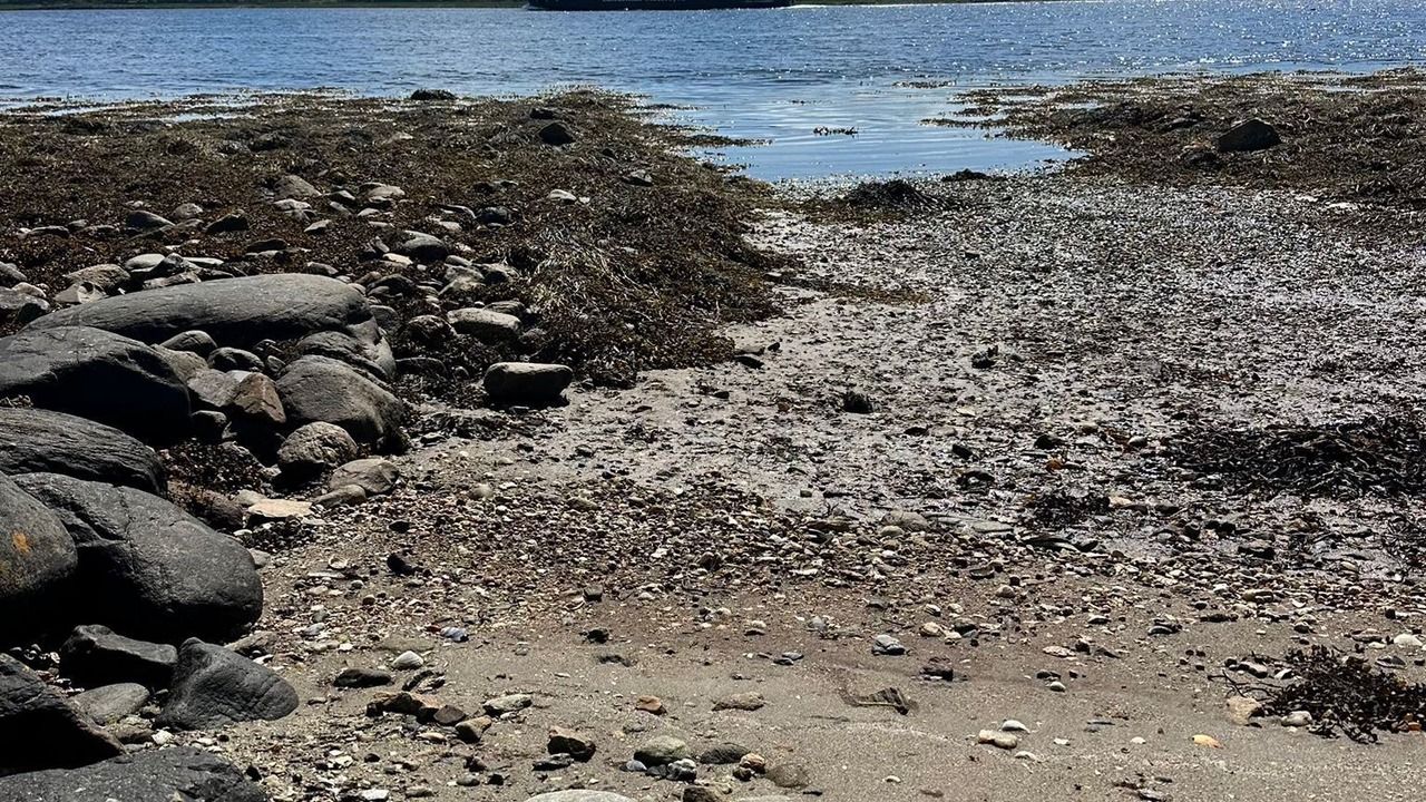 Photo of Others in Tarbert