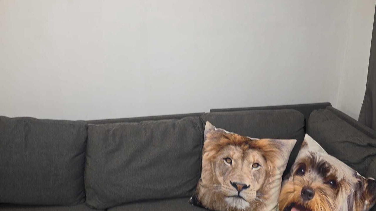 Photo of Livingroom in Saint Ola