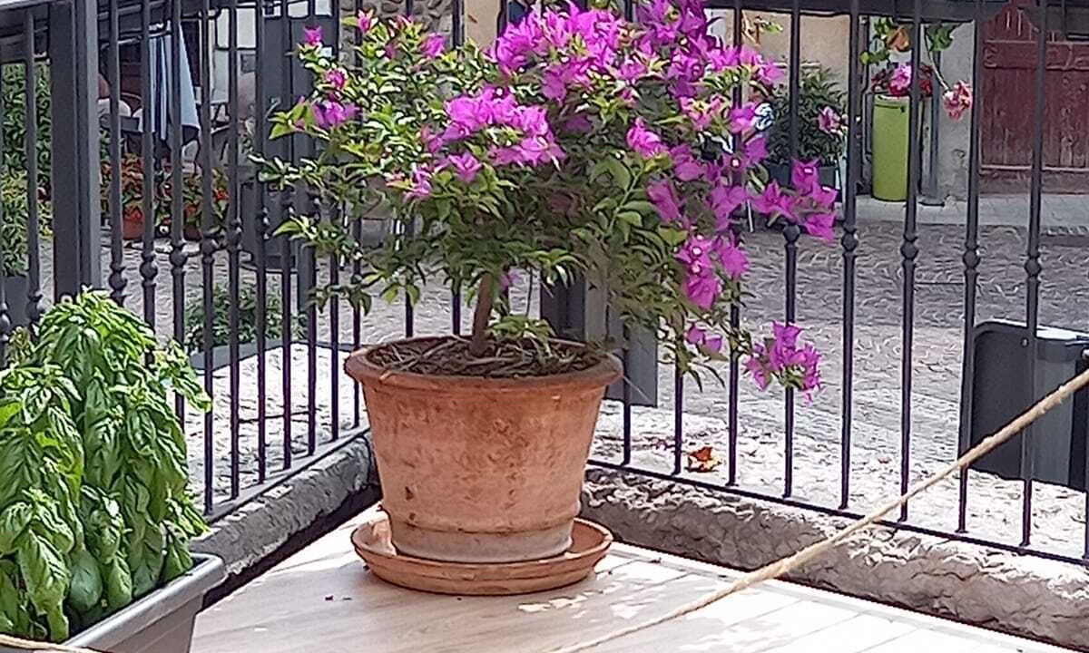 Photo of Patio Balcony in Ponti sul Mincio