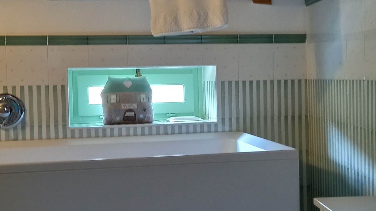 Photo of Bathroom in Ponti sul Mincio
