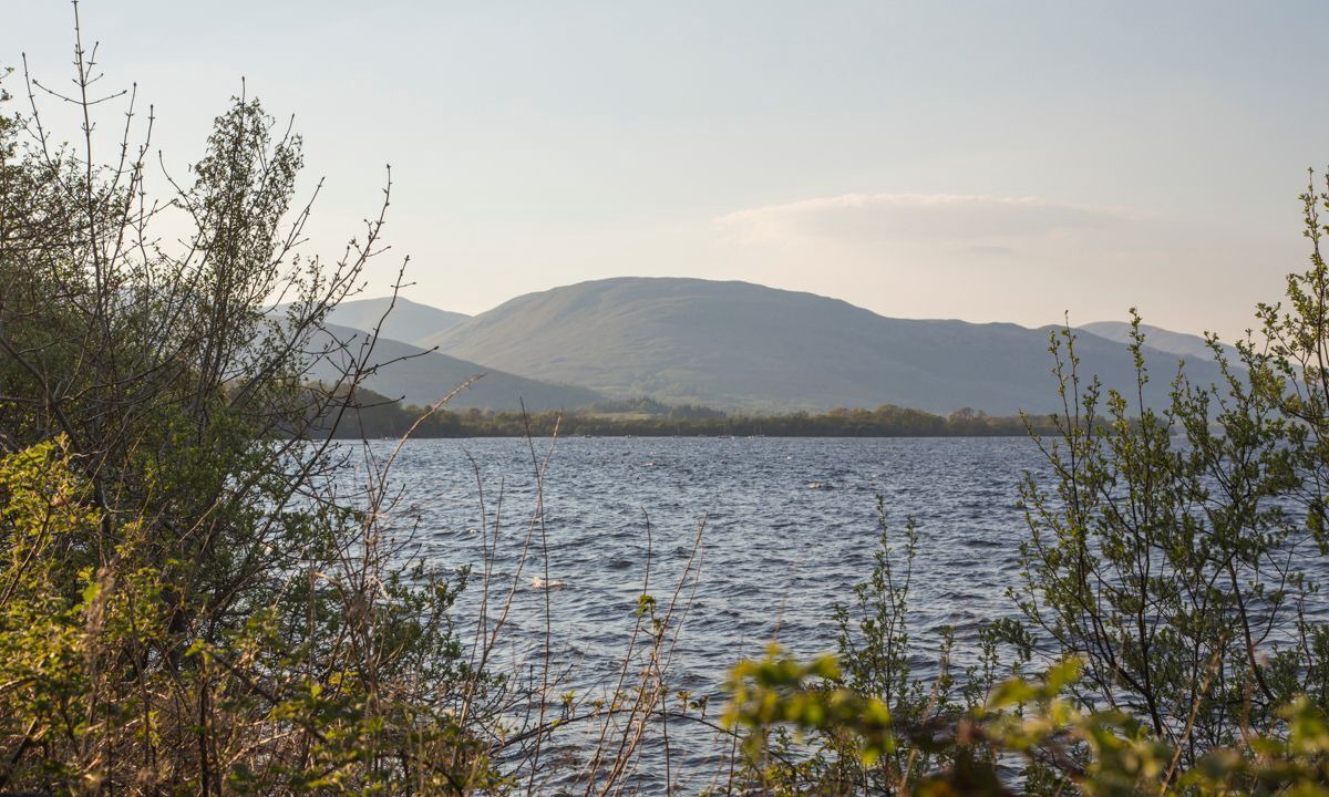 Photo of Others in Helensburgh