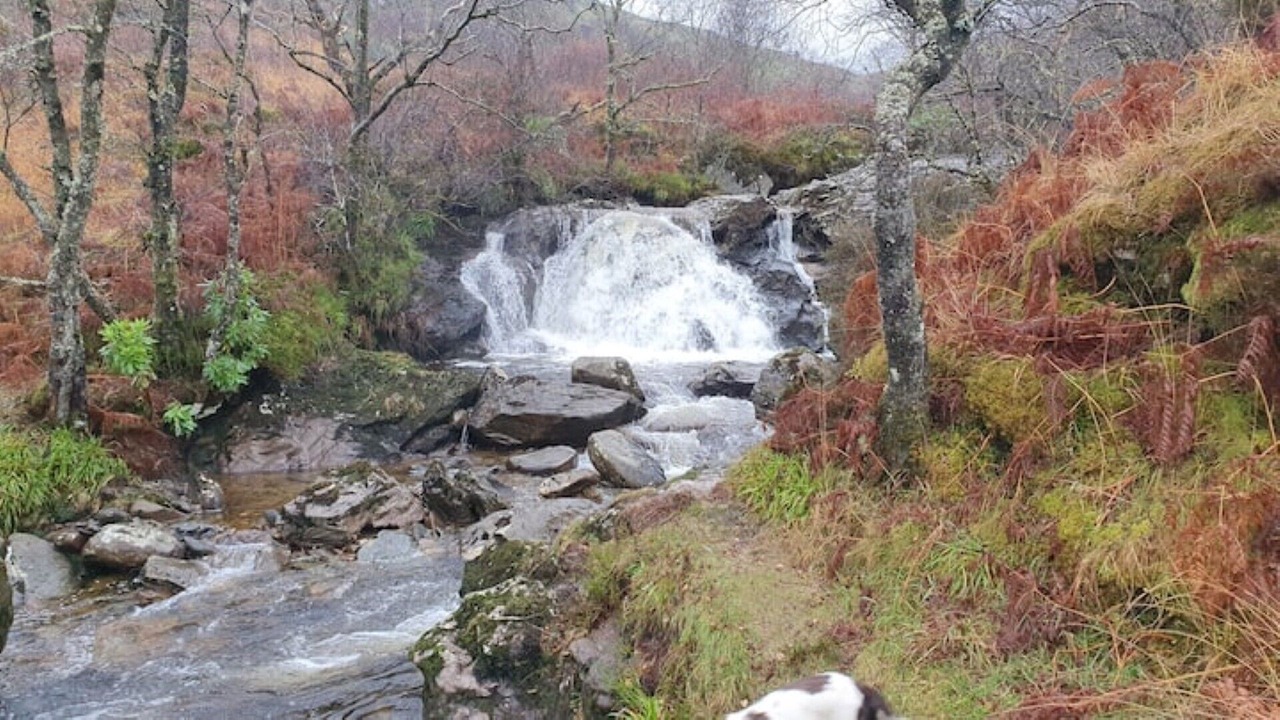 Photo of Others in Lochgoilhead