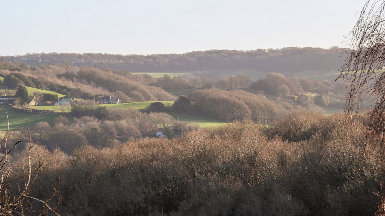 Photo of Others in Honley