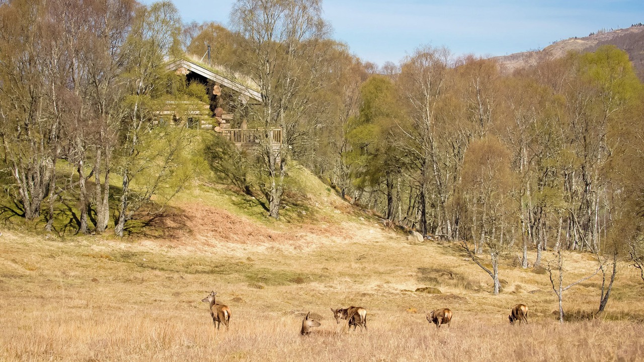 Photo of Others in Glen Urquhart