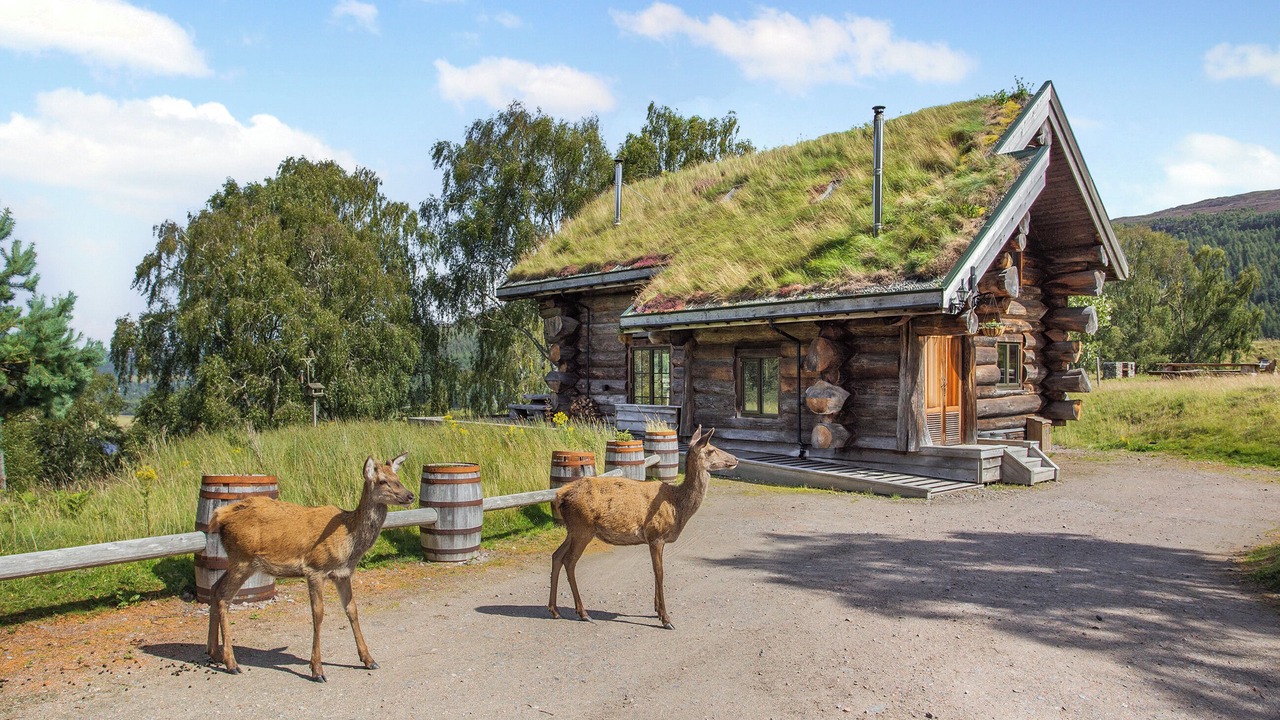 Photo of Outdoor in Glen Urquhart