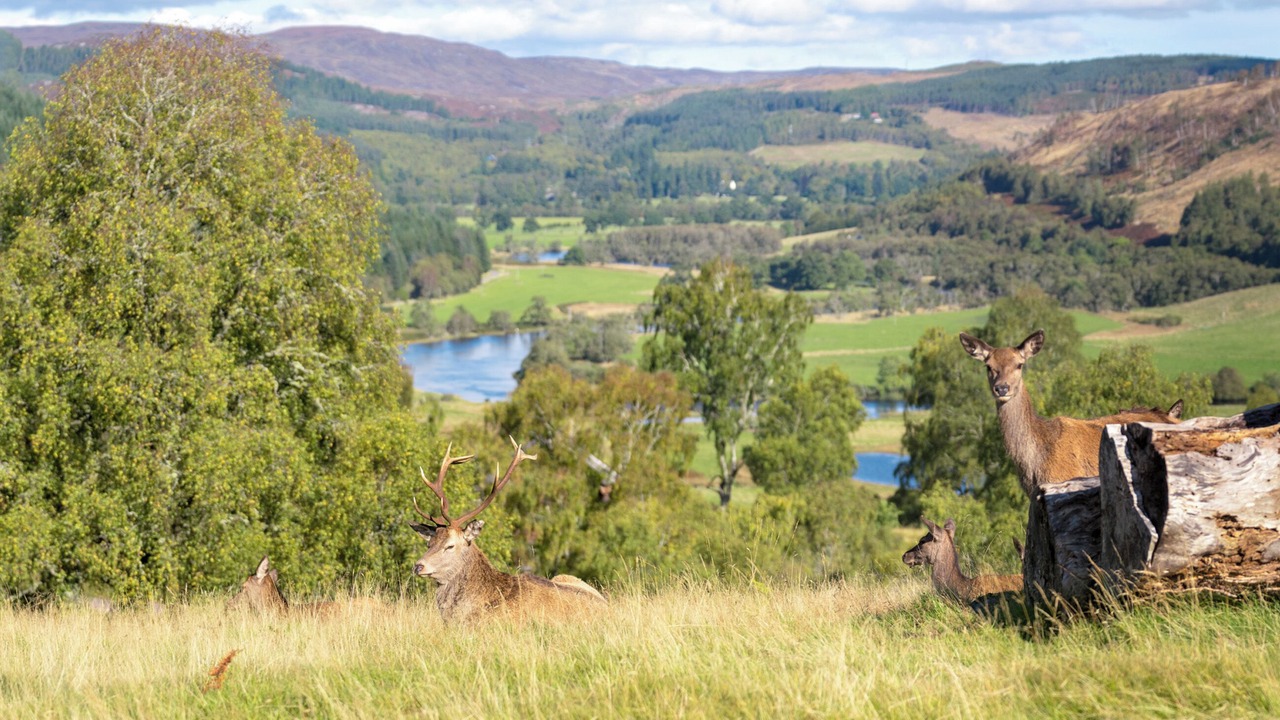 Photo of Others in Glen Urquhart