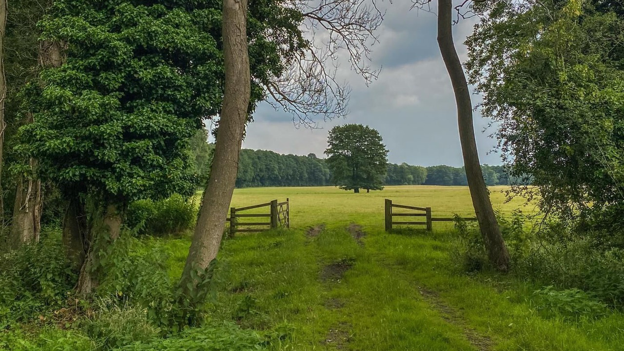 Photo of Others in Hethel