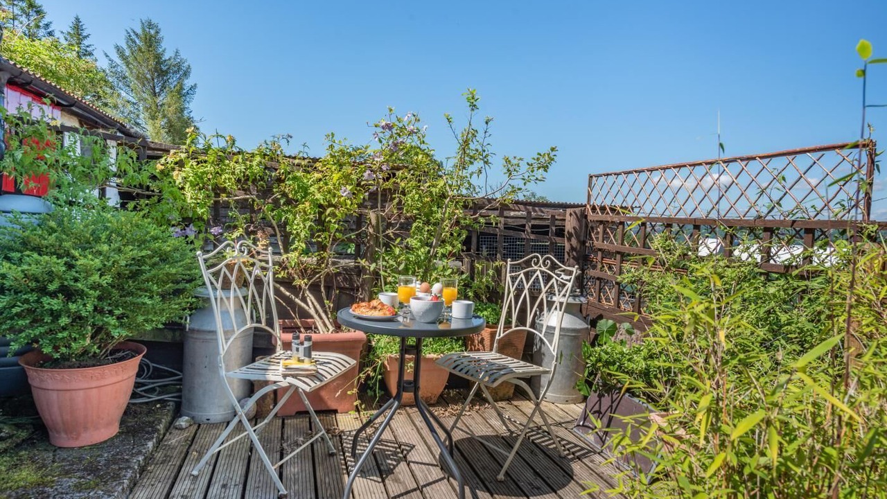 Photo of Outdoor in Pentrefelin