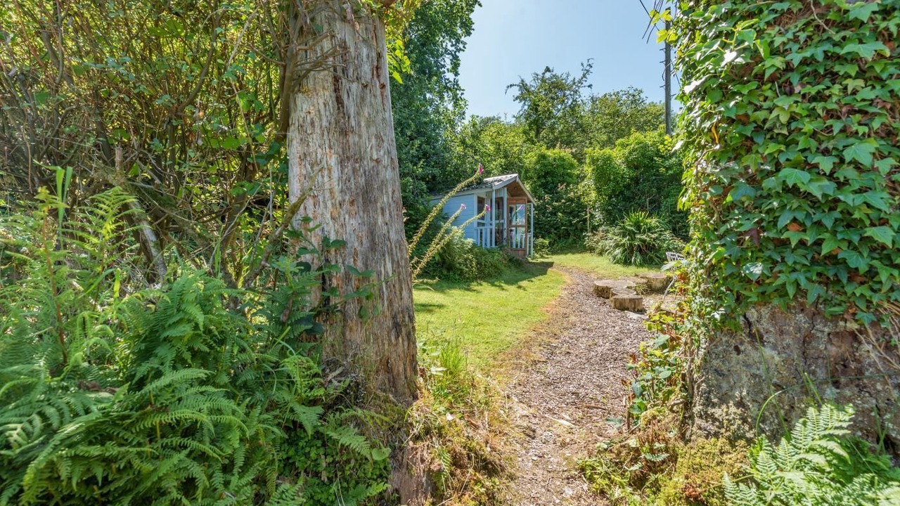 Photo of Outdoor in Pentrefelin