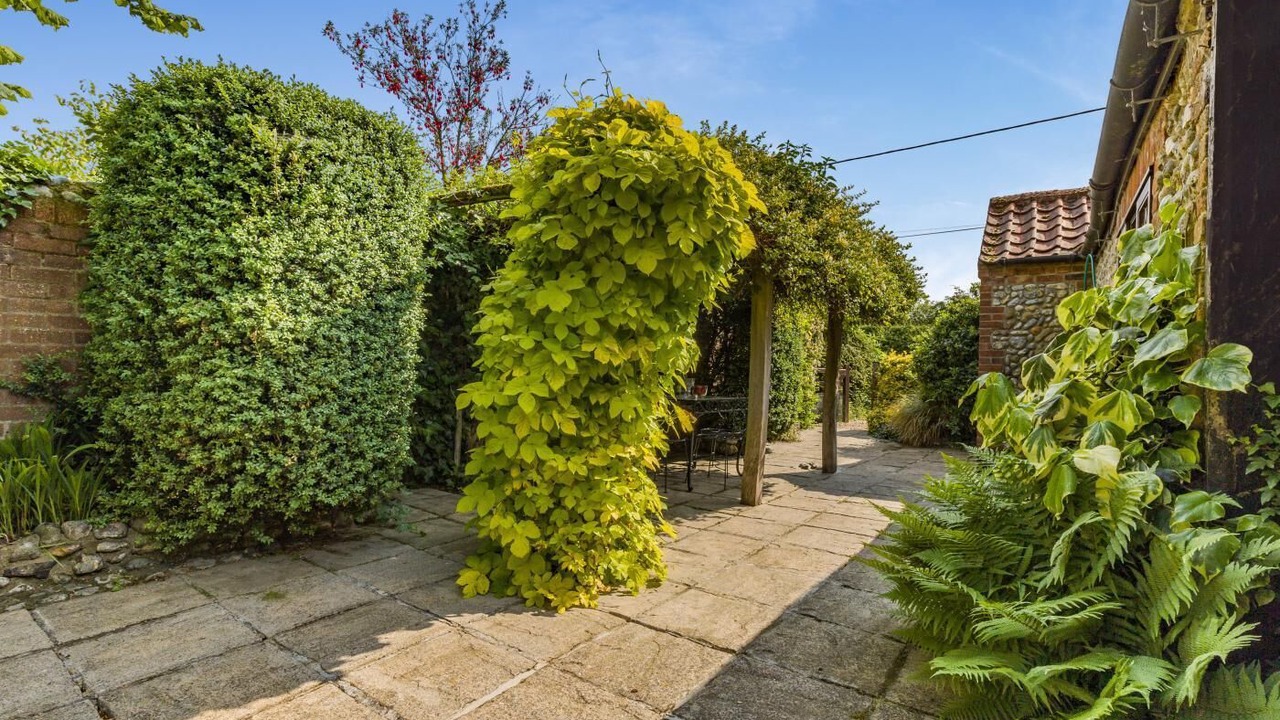 Photo of Outdoor in Sharrington