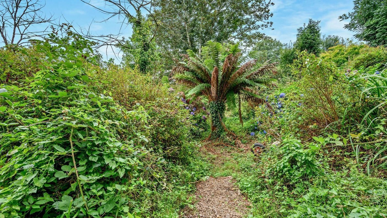 Photo of Outdoor in Mabe