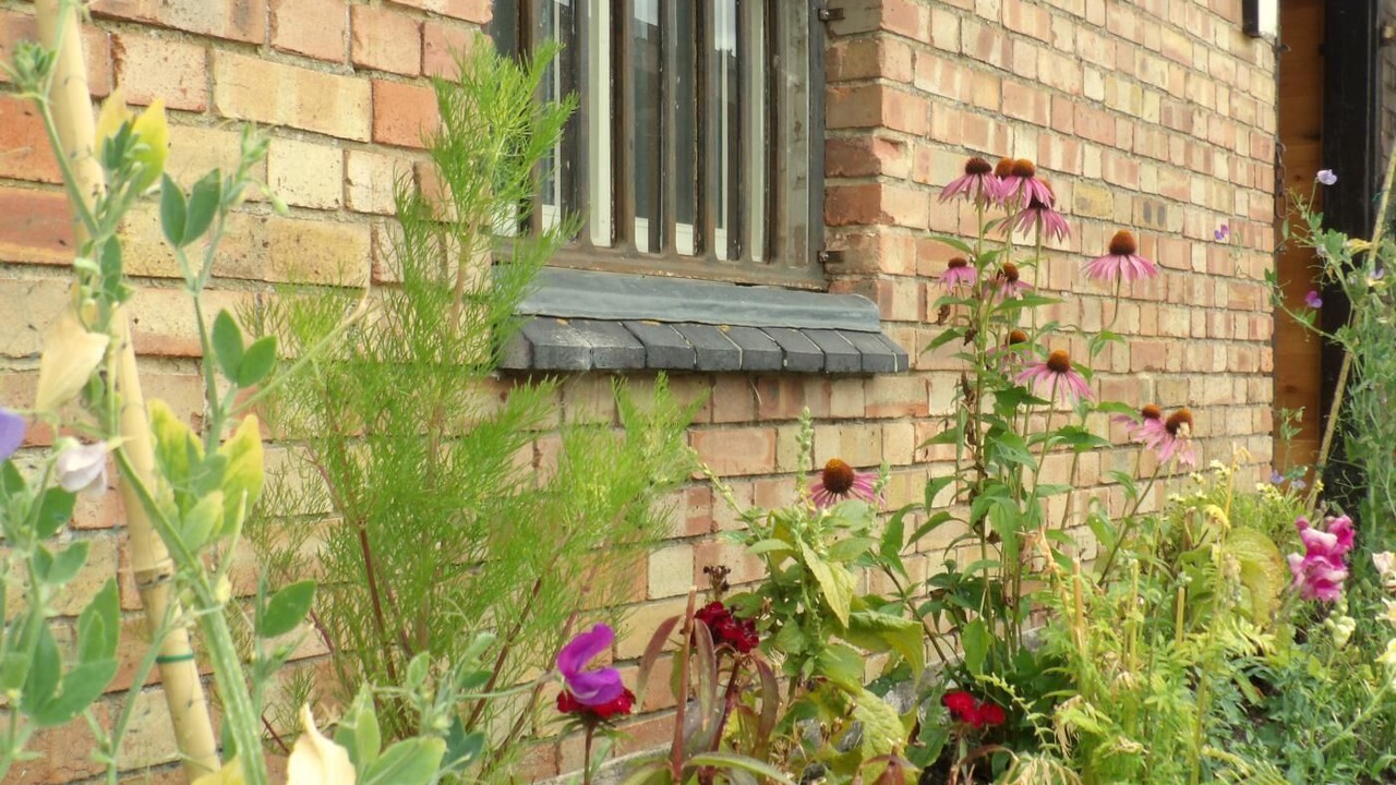 Photo of Outdoor in Diss
