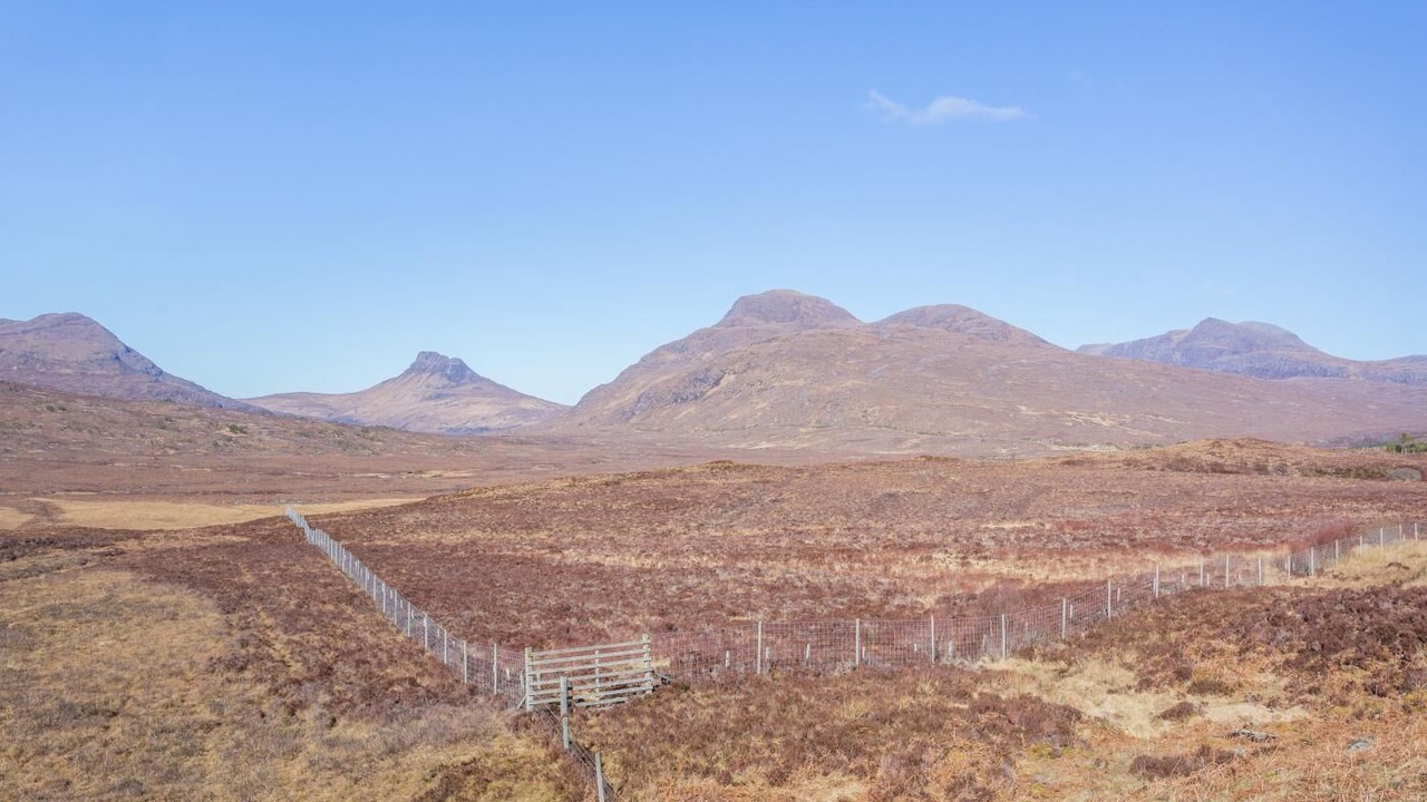 Photo of Others in Ullapool