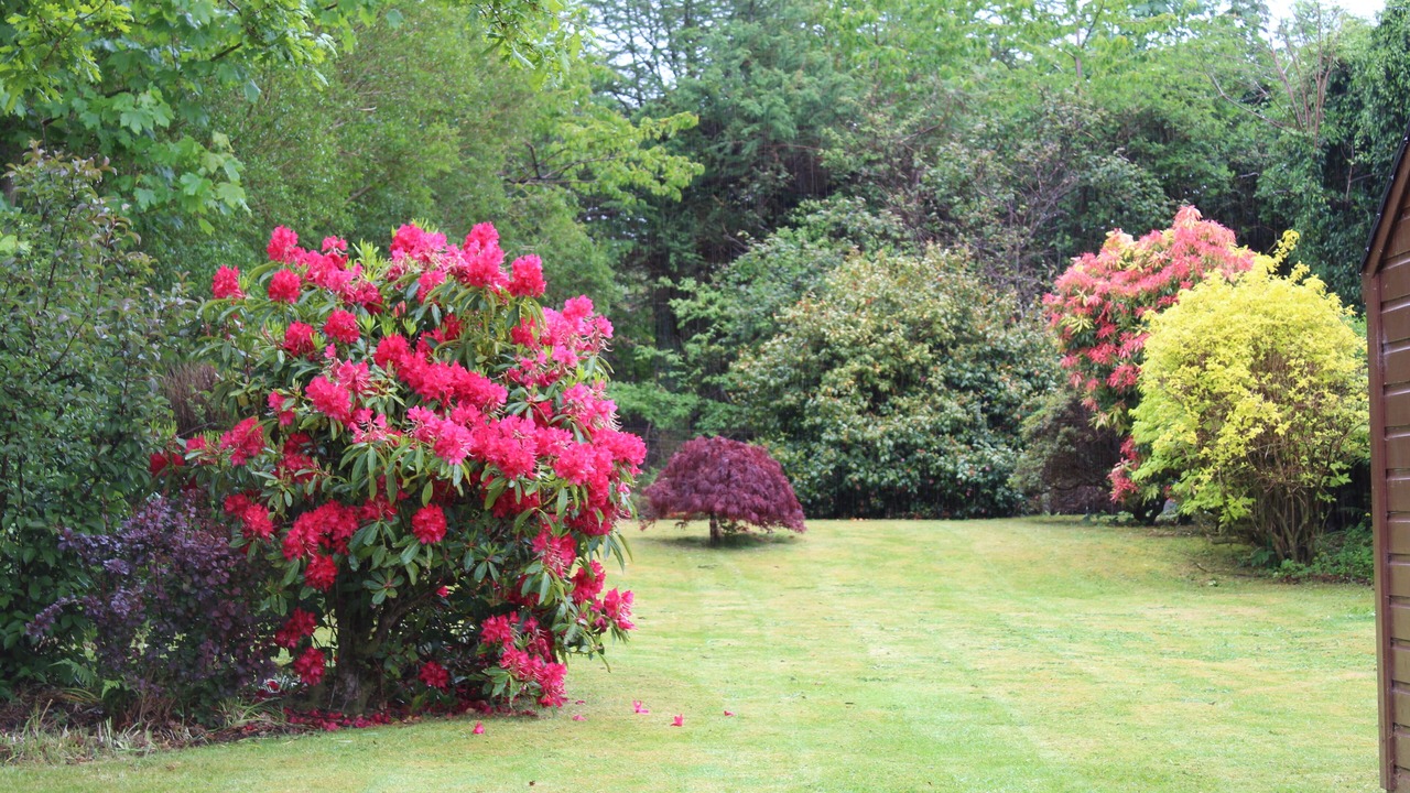 Photo of Outdoor in Connel