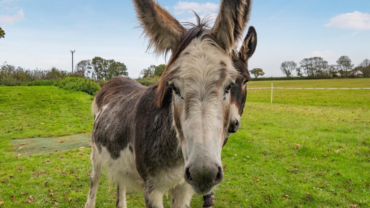 Photo of Others in Tan-y-groes