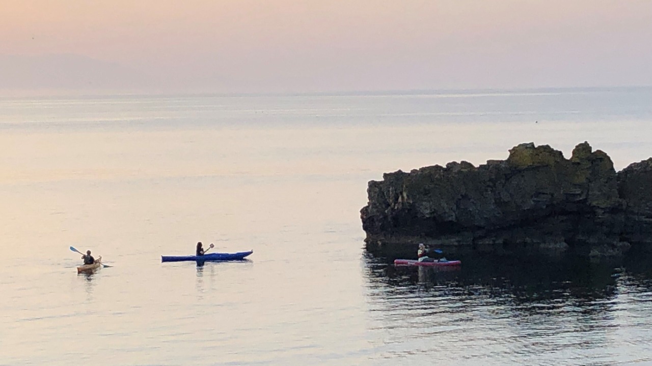 Photo of Others in Dunure