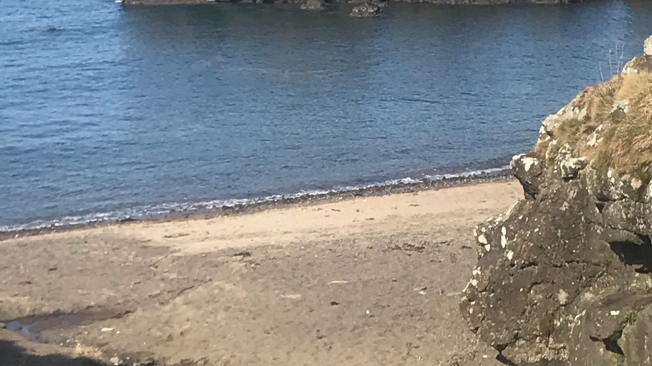 Photo of Others in Dunure