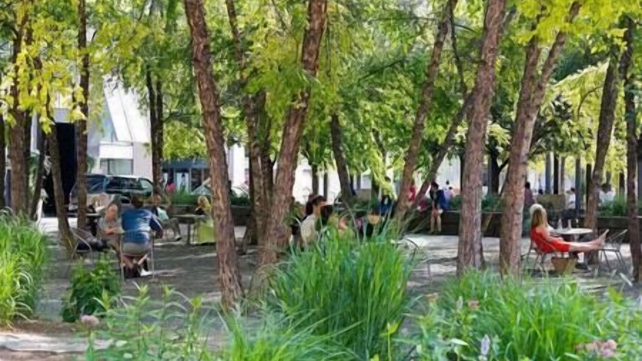 Photo of Outdoor in Rosedale