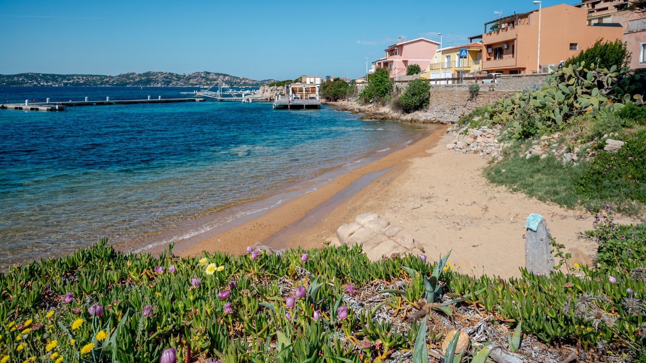 Photo of Others in La Maddalena