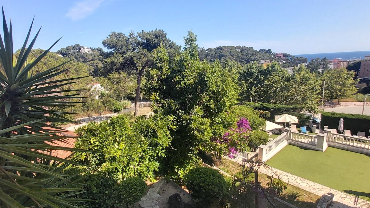 Photo of Outdoor in Lloret Town Center