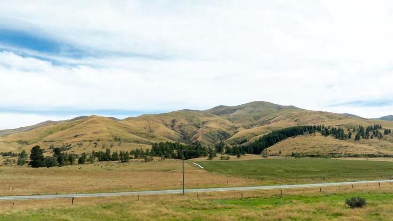 Photo of Others in Burkes Pass