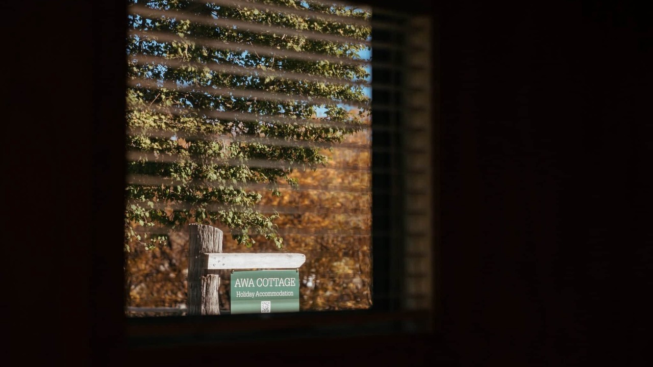 Photo of Others in Tekapo