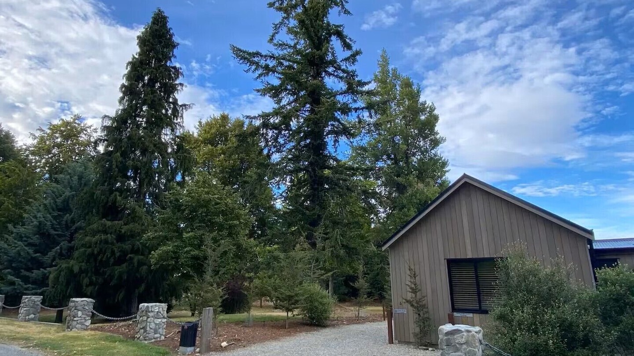 Photo of Others in Tekapo