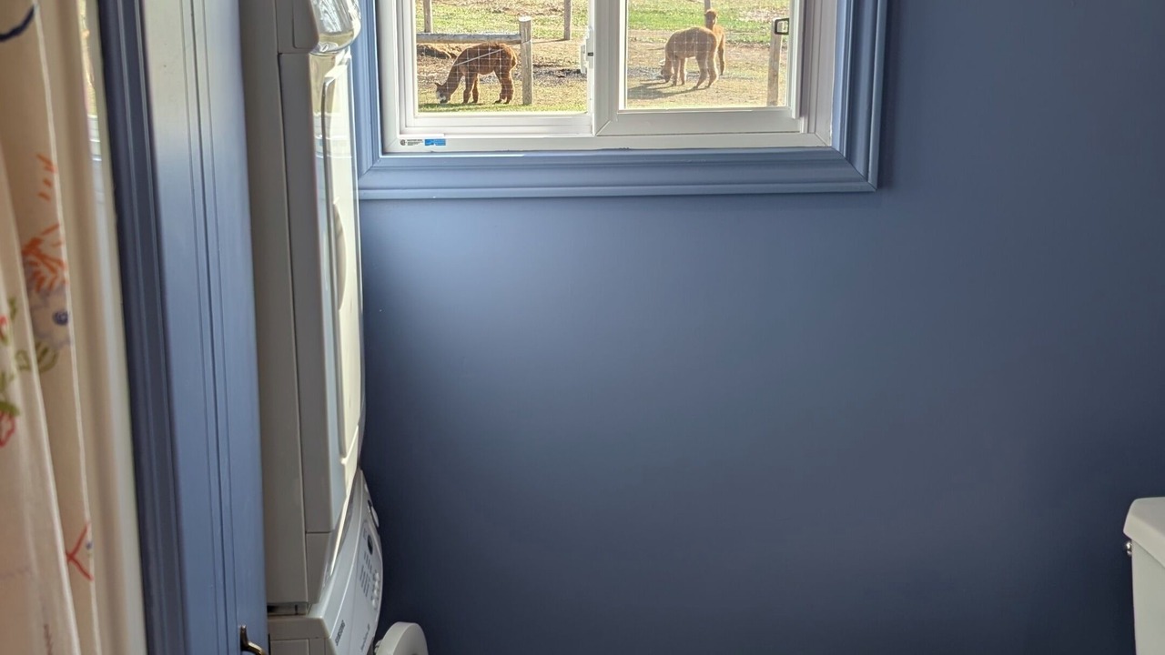 Photo of Bathroom in Courtland