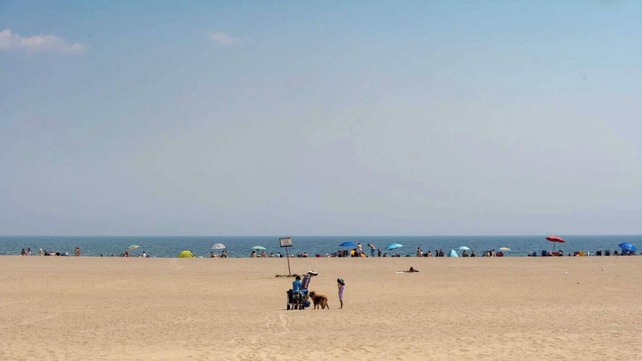 Photo of Others in The Beach Triangle
