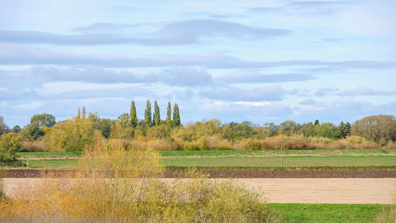 Photo of Others in Cawood