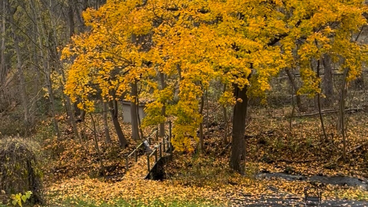 Photo of Outdoor in Hamilton