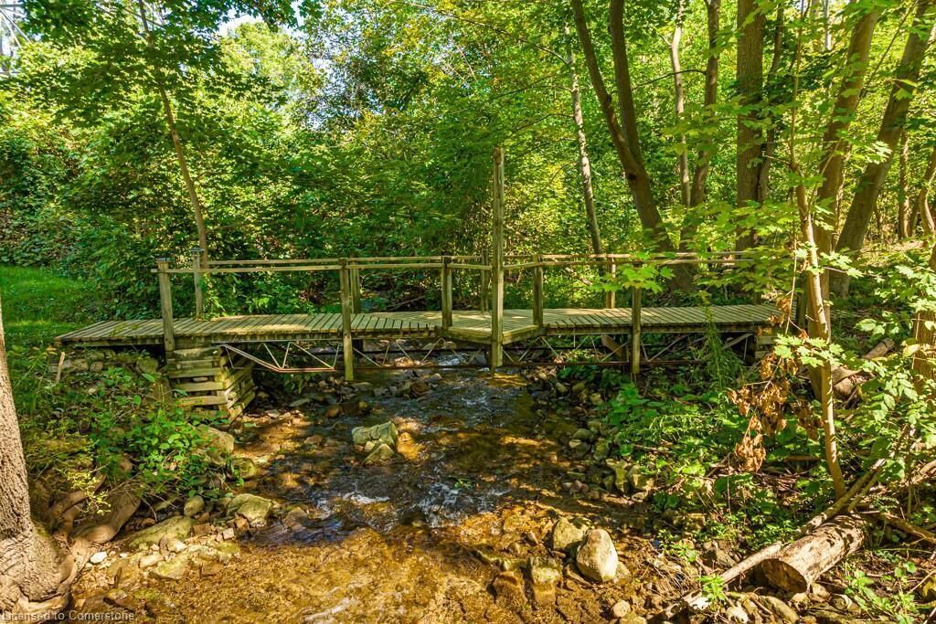Photo of Outdoor in Hamilton