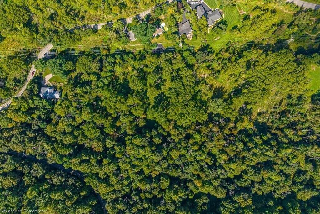 Photo of Outdoor in Hamilton
