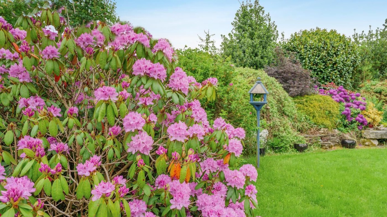 Photo of Outdoor in Saint John's Town of Dalry