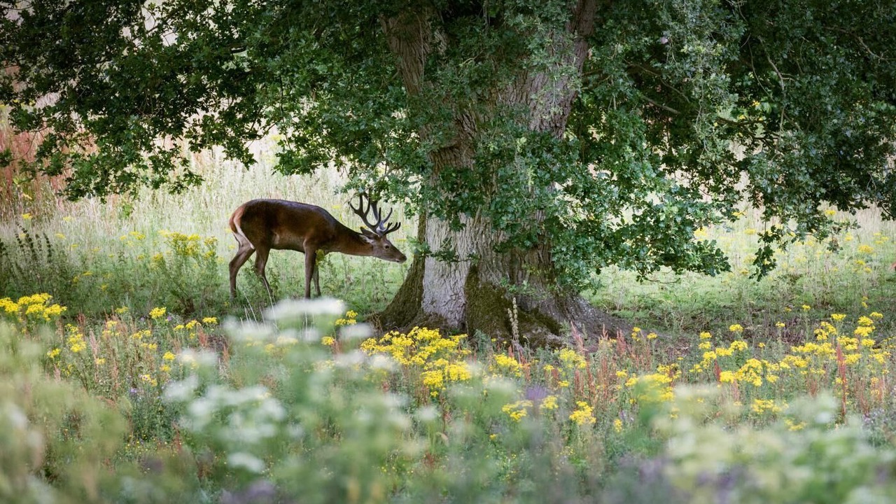 Photo of Others in Cretingham