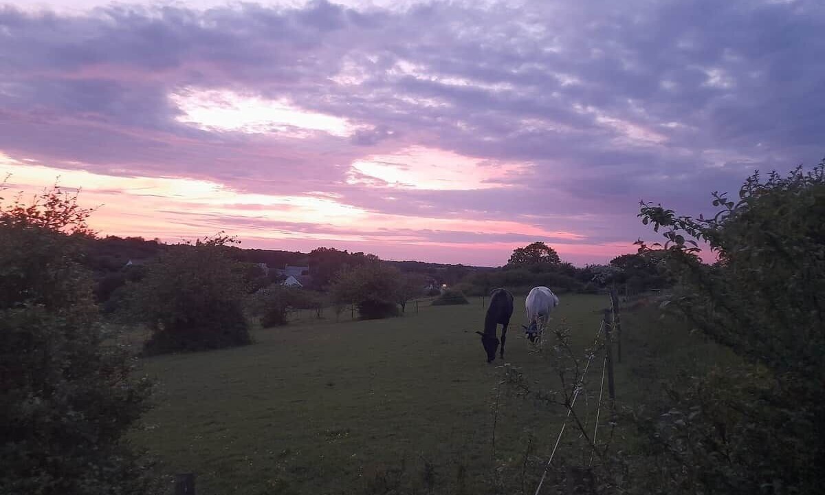 Photo of Others in Purleigh