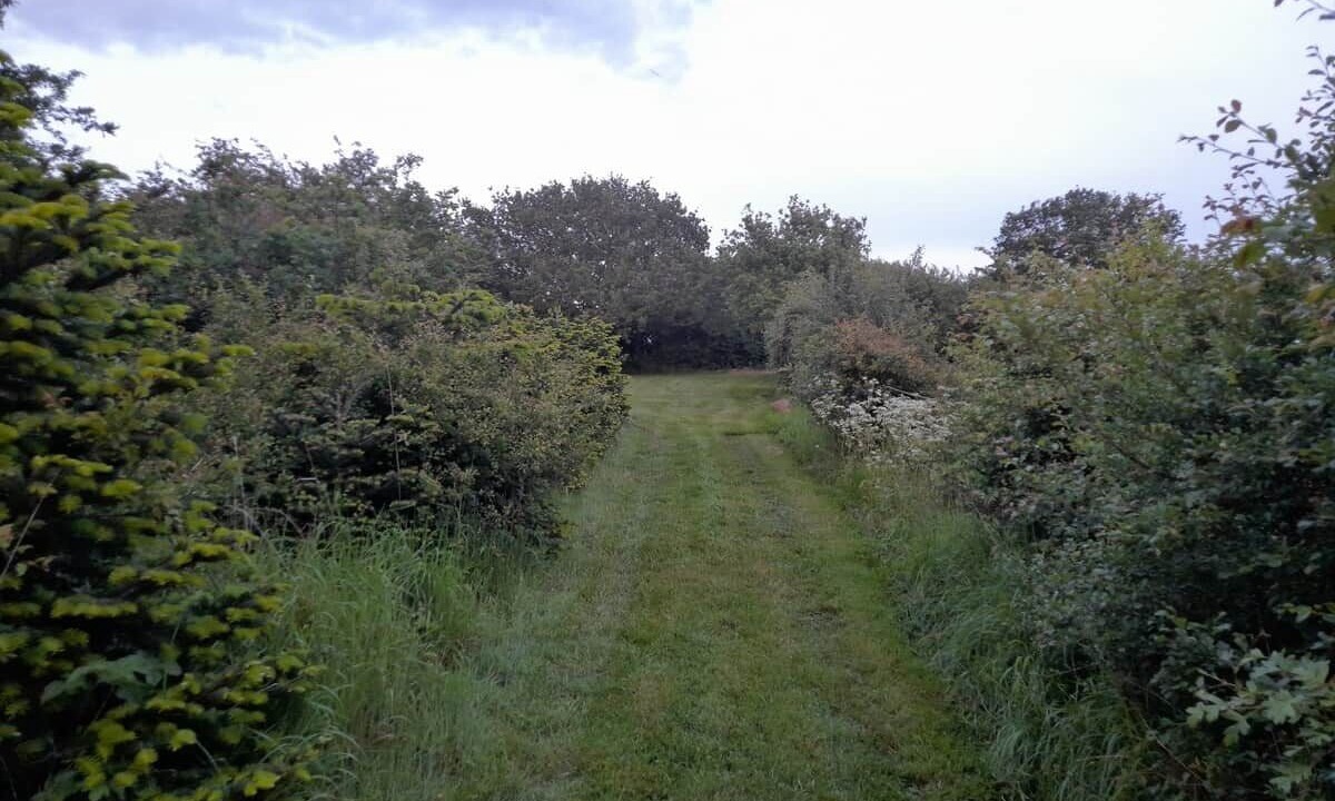Photo of Others in Purleigh