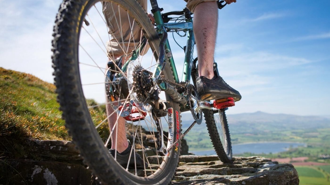 Photo of Others in Newcastle-on-Clun