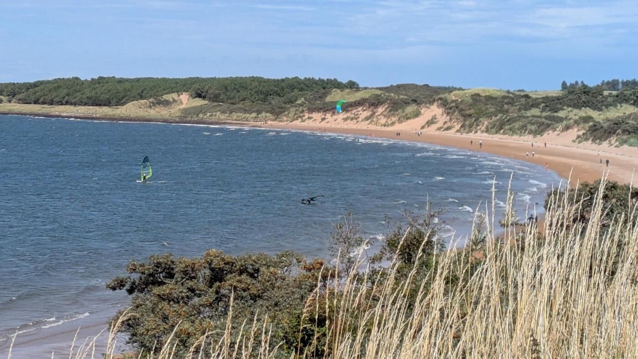 Photo of Others in Gullane