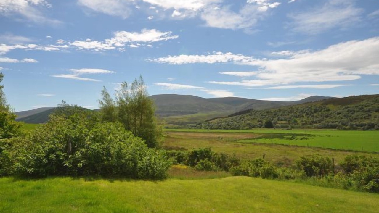 Photo of Others in Kildonan